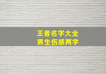 王者名字大全 男生伤感两字